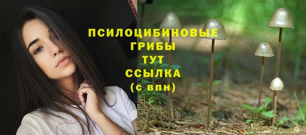 соль ск Верхнеуральск