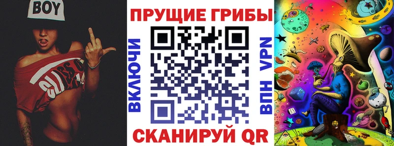маркетплейс официальный сайт  Княгинино  Псилоцибиновые грибы прущие грибы  МЕГА сайт 