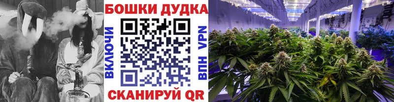 Бошки Шишки семена Княгинино